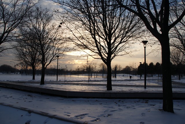 SONY DSC
