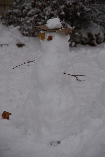 Le premier bonhomme de neige.