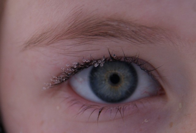 SONY DSC