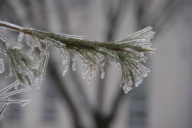 Apparat d'hiver