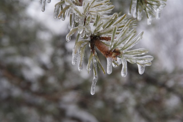 Transparence