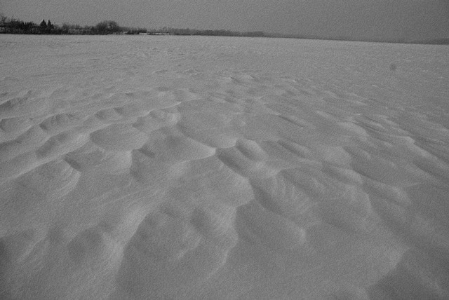 DSC04018