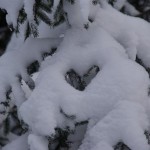 Saint Valentin