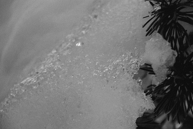 SONY DSC