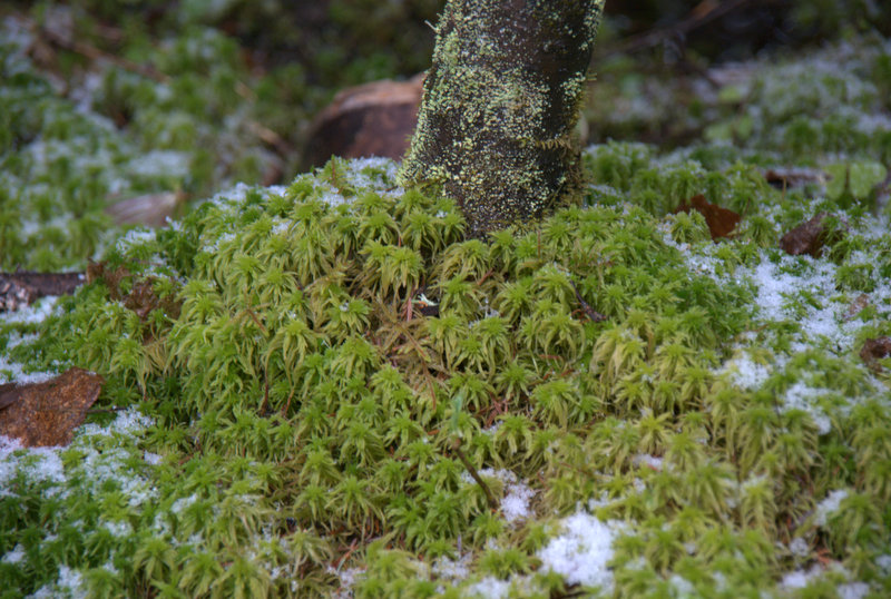 DSC07704