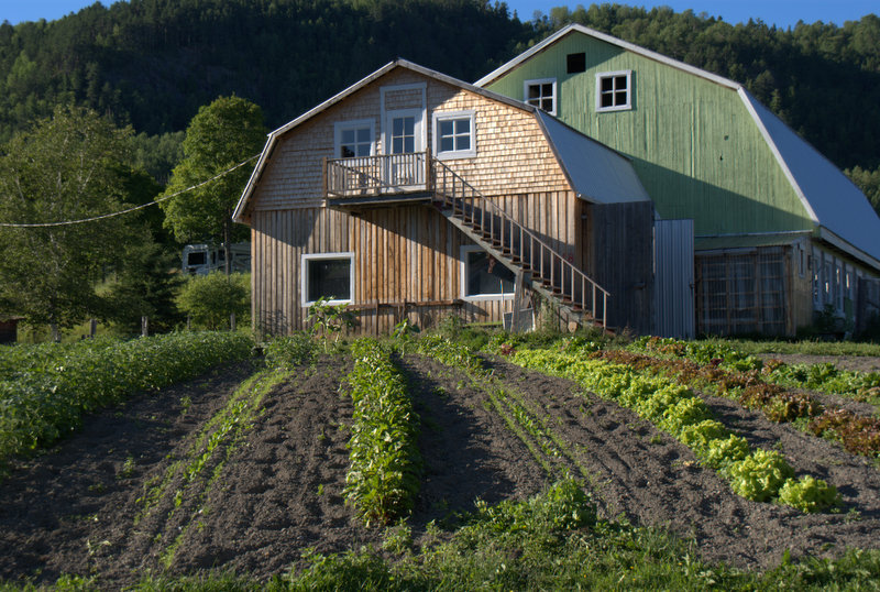 La ferme