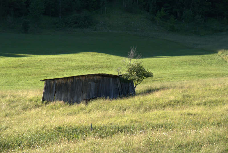 La cabane