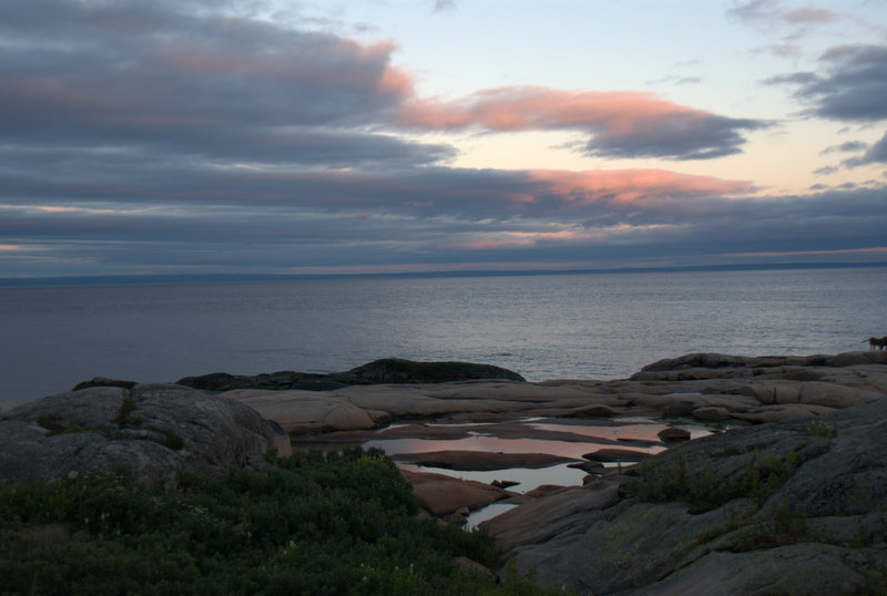 Crépuscule sur les bergeronnes.