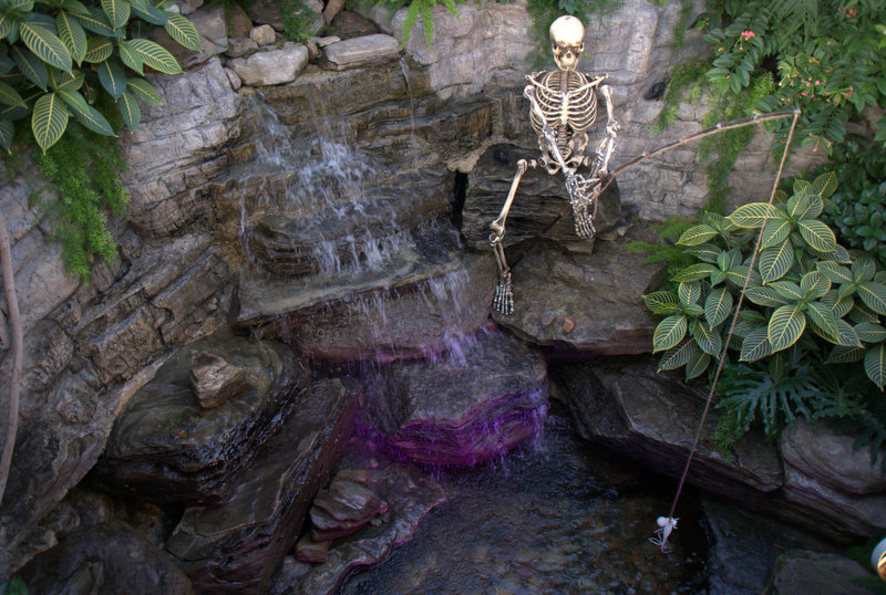 La pêche de la mort qui tue !