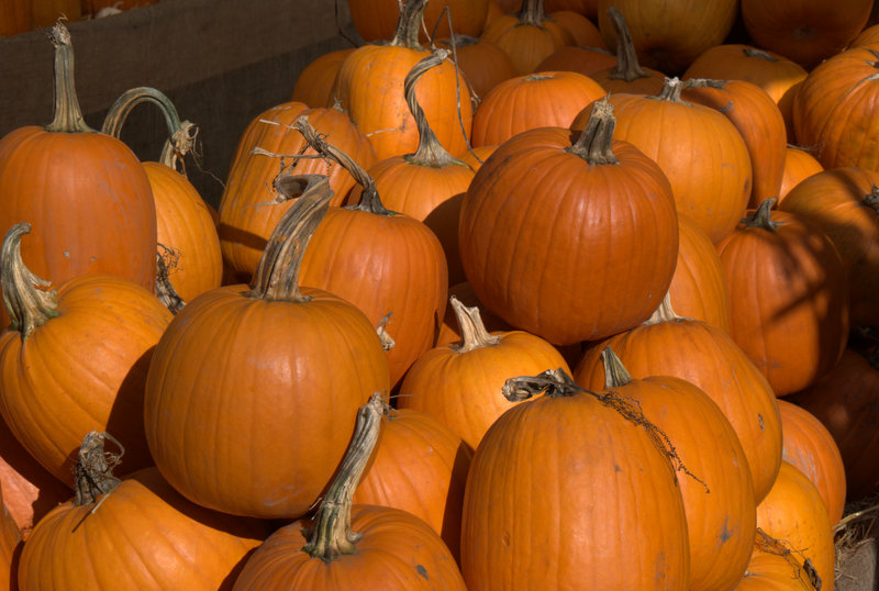 Grande vente pour halloween.