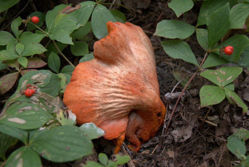DSC02840