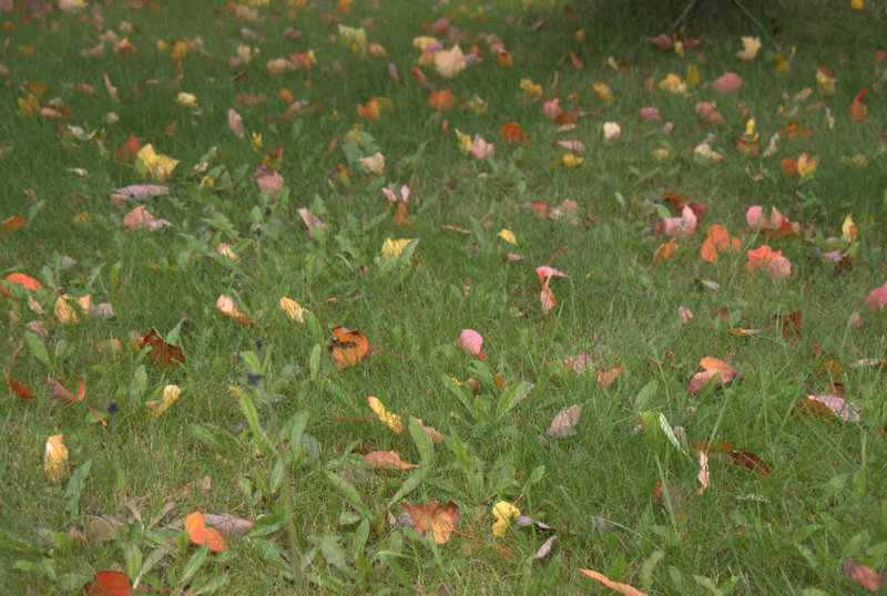 DSC03508