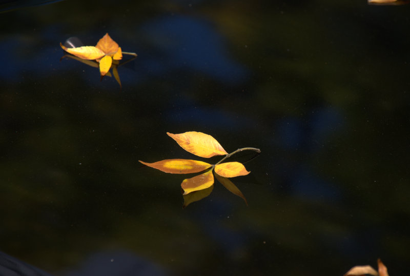 Brillance et reflet.
