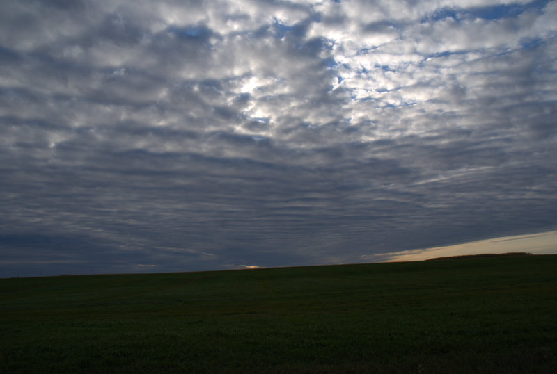 DSC04818
