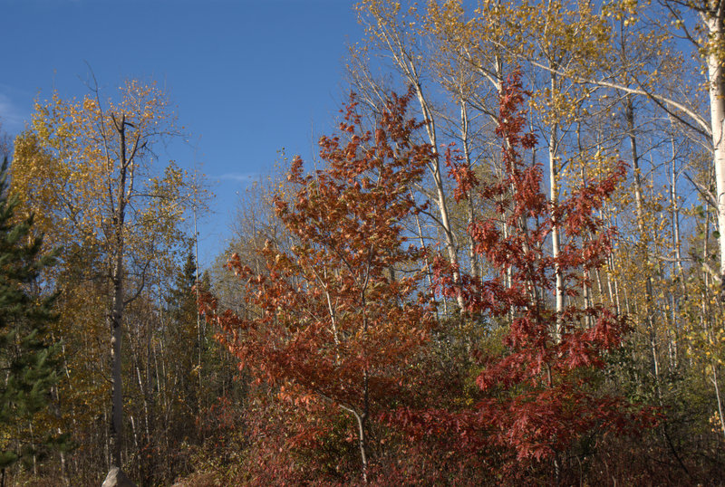 DSC05030
