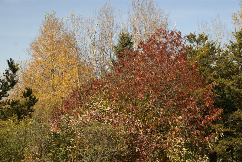 DSC05180