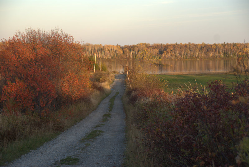 DSC05265