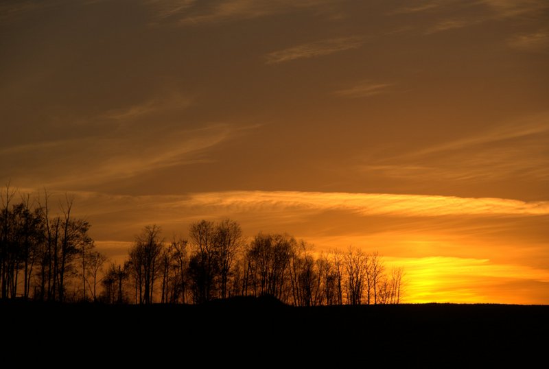 DSC05316.ARW