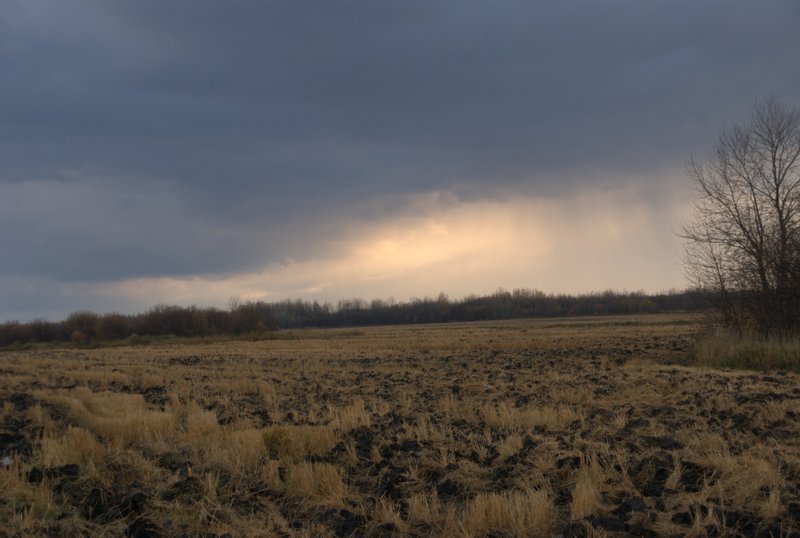 DSC05829.ARW