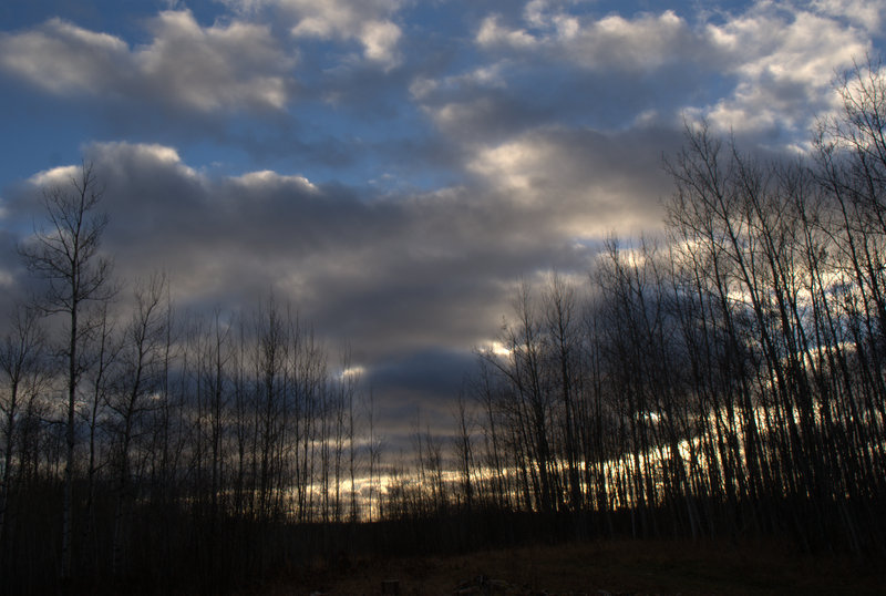 DSC06506