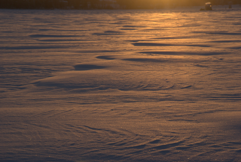 Vagues dorées.