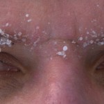 Un regard sur l'hiver.