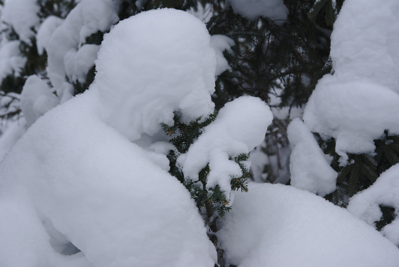 Un nouveau bonhomme...de neige.