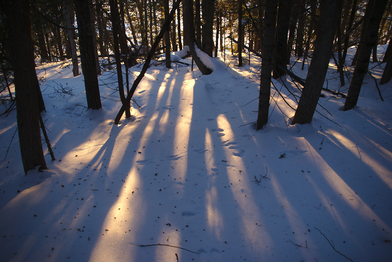 Quand le soleil perce et fait son entrée, c'est toute une ambiance.