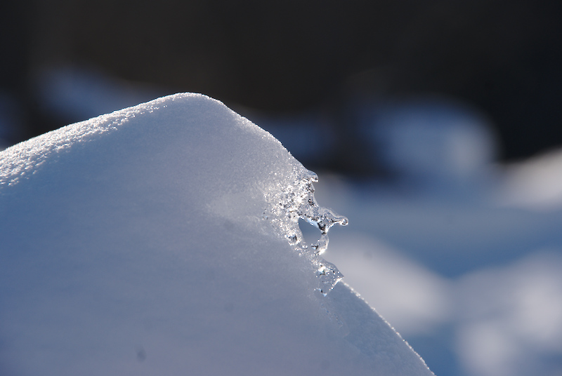 Jusqu'où la neige se transformera ?