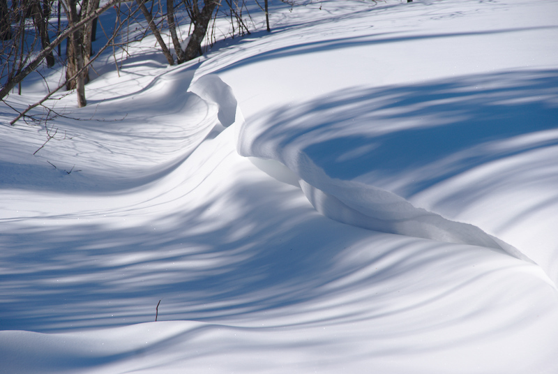 Courbes et lignes.