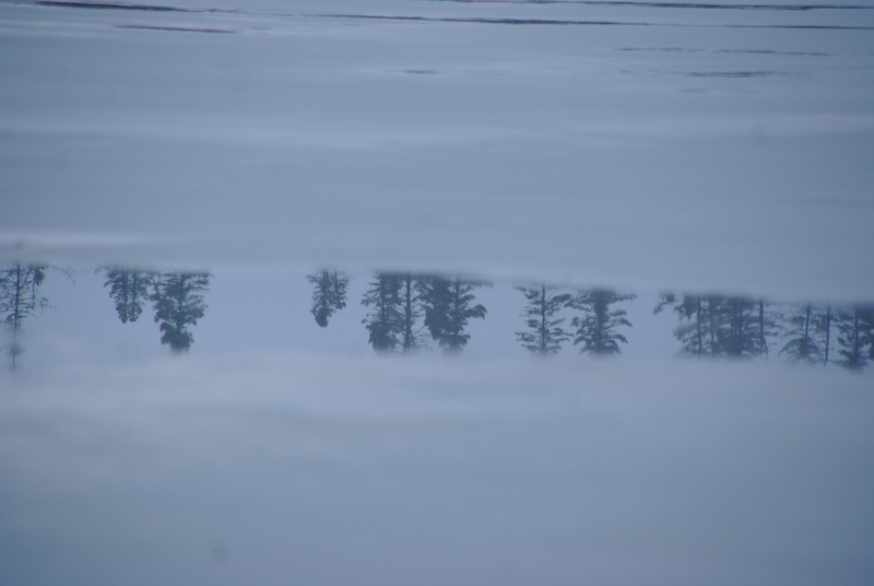 Des flaques  s'agrandissent sur le lac.