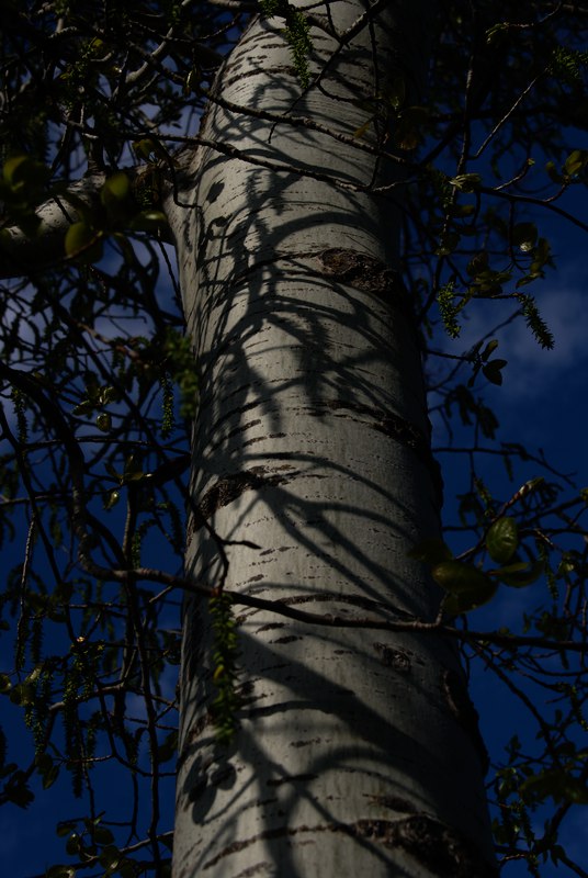24 Mai,15.4°C.
