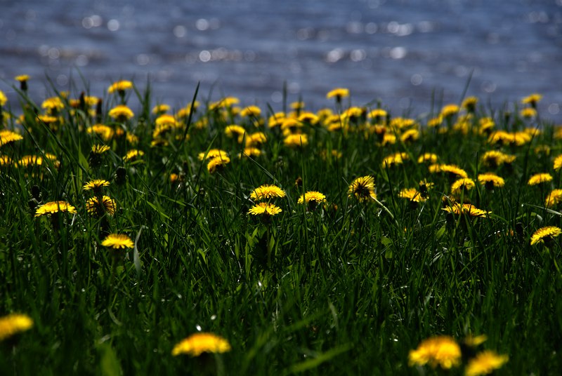 31 Mai,14.3°C.
