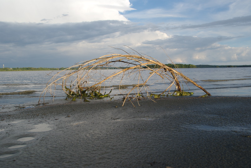 Une ébauche de cabane construite par des mains invisibles.