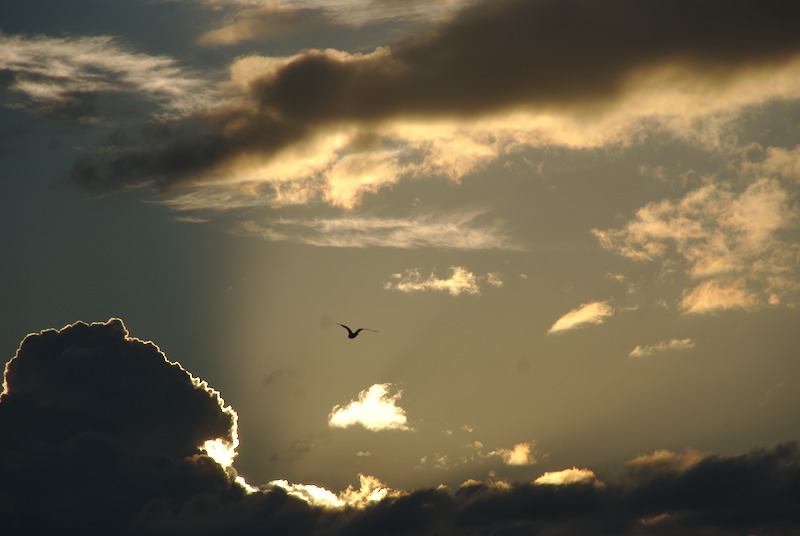 Crépuscule lumineux...