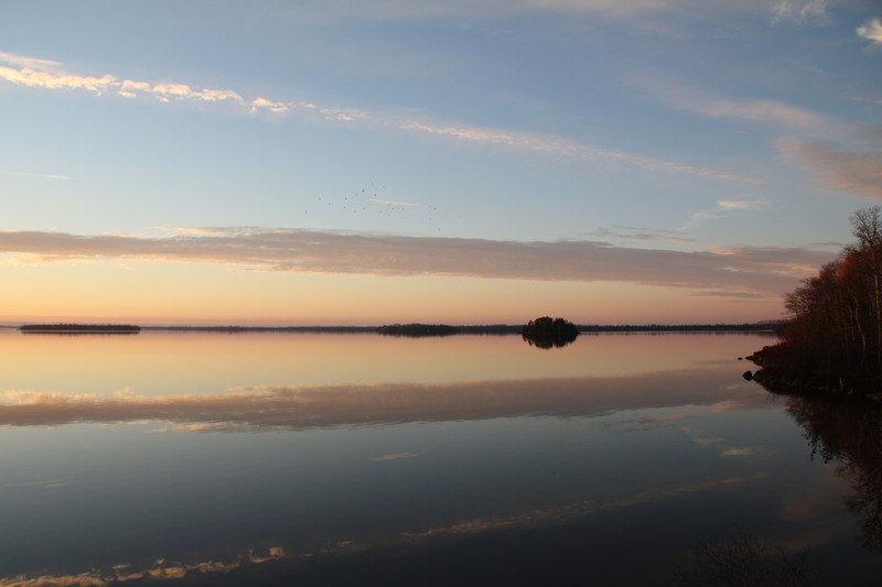 L'Abitibi et ses immensités.