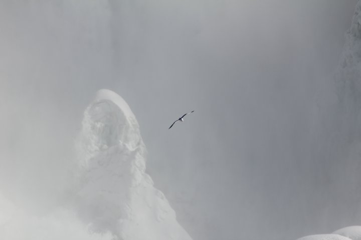 IMG_1397