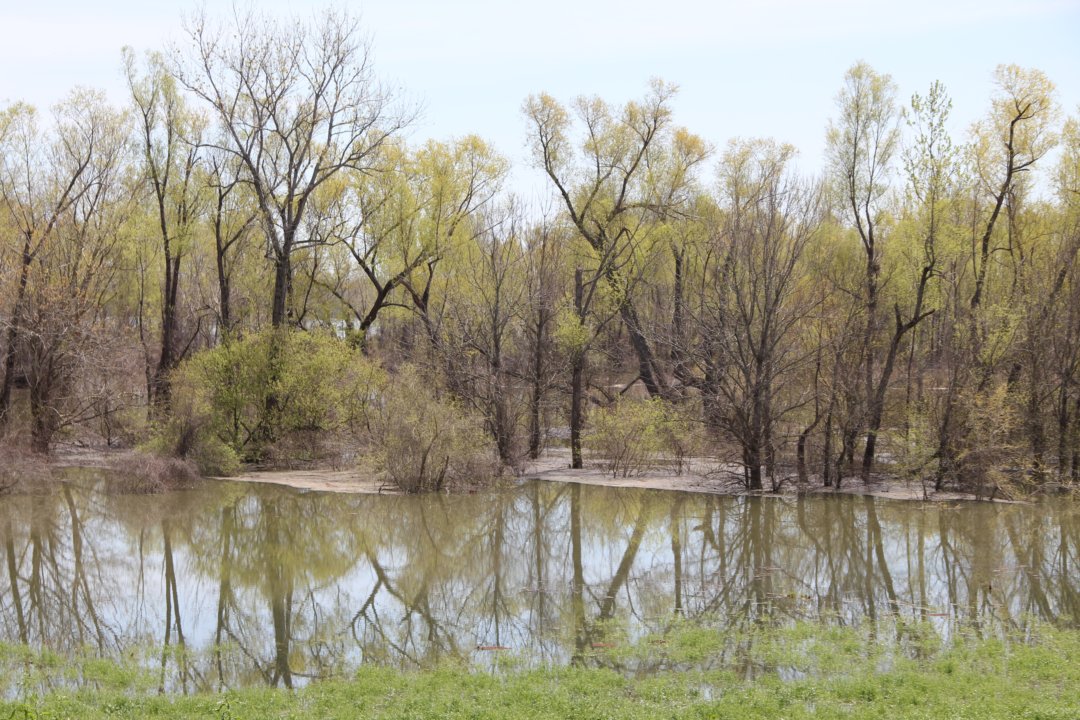 Un débordement du Mississippi.