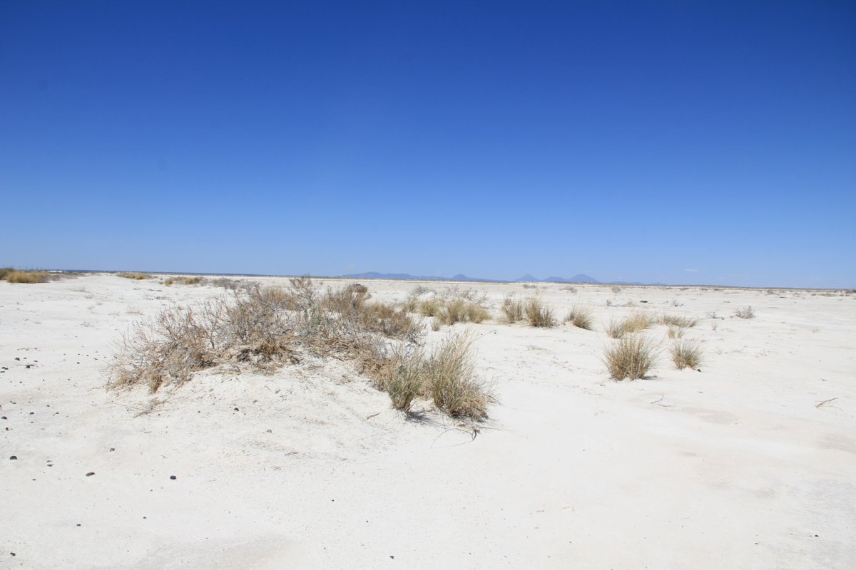 Etendue de sel ou de sable?