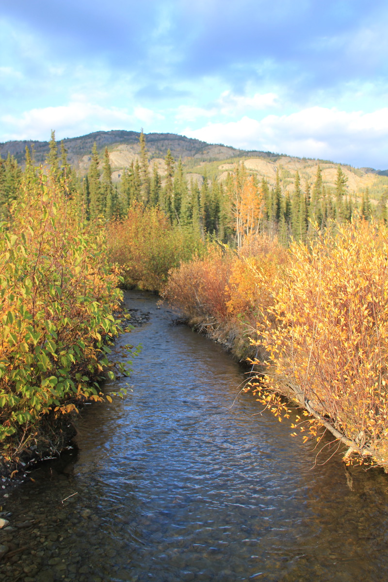 Le ruisseau où nous prenons l'eau pour tous nos besoins. Elle est potable et juste à quelques mètres.