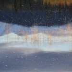 Il était une fois Whitehorse.