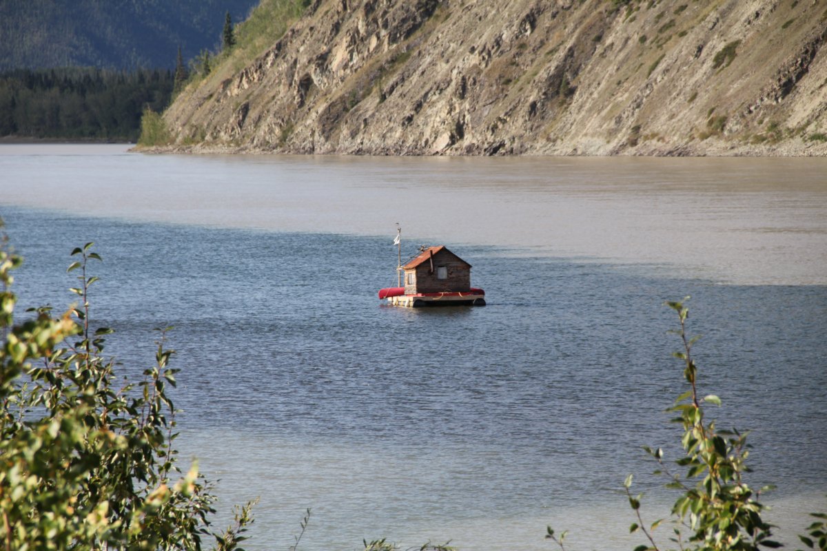 Quand la Klondike se jette dans la Yukon: changement de couleurs.