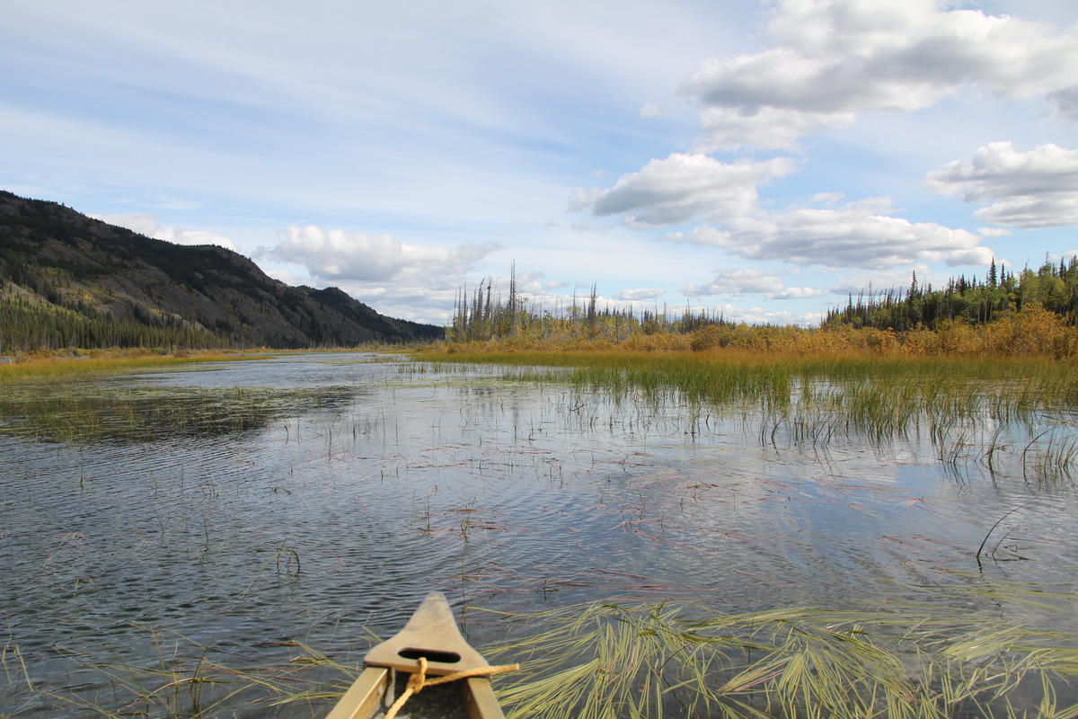 La rivière Yukon au bord de chez nous.