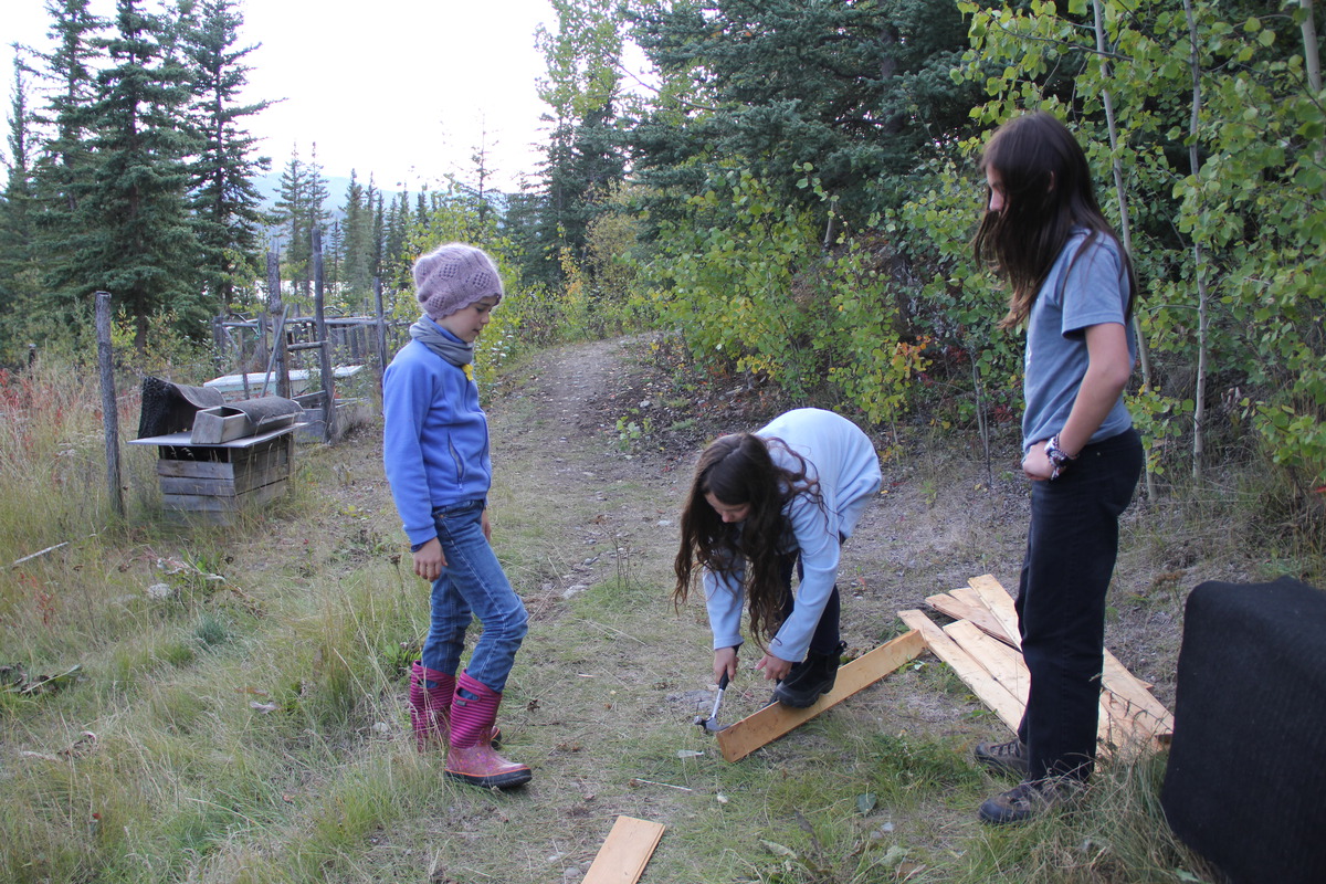 La construction d'une cabane commence.