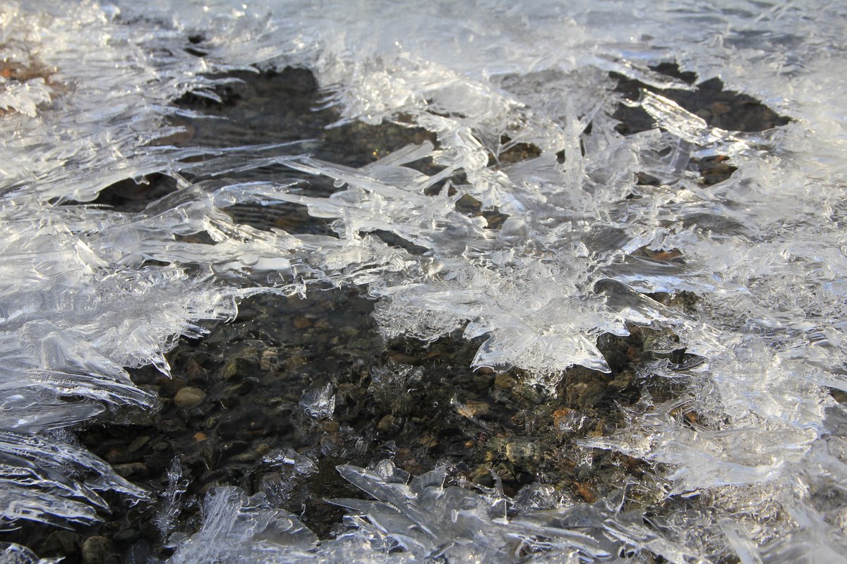 IMG_2272