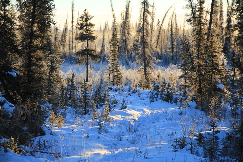 IMG_4966