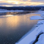 Whitehorse, 5 mois plus tard...
