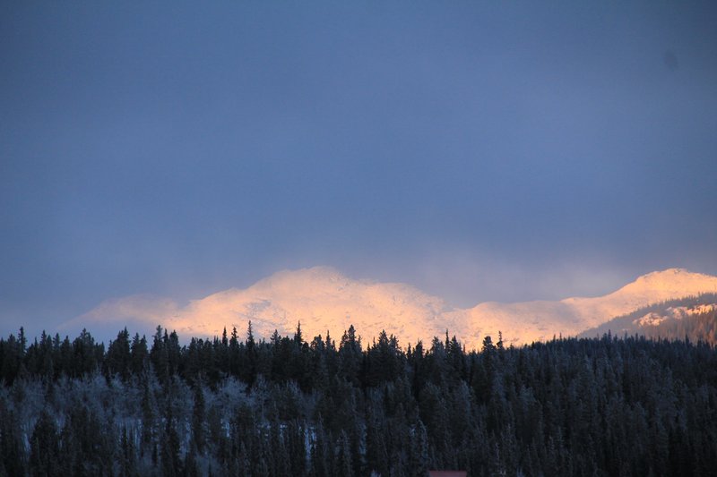 IMG_5894