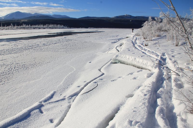 Le bord de la rivière Yukon change de morphologie.