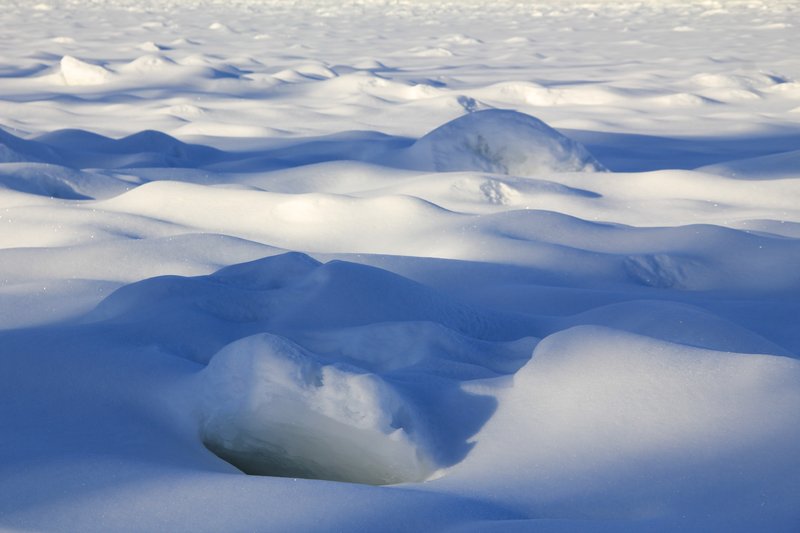 Ce genre de terrain est difficile et blessant pour les chiens à cause des glaces qui sortent partout sans prévenir.
